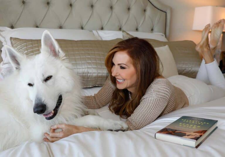 dog bed