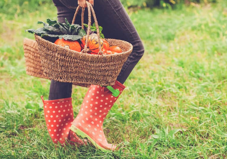 vegetables